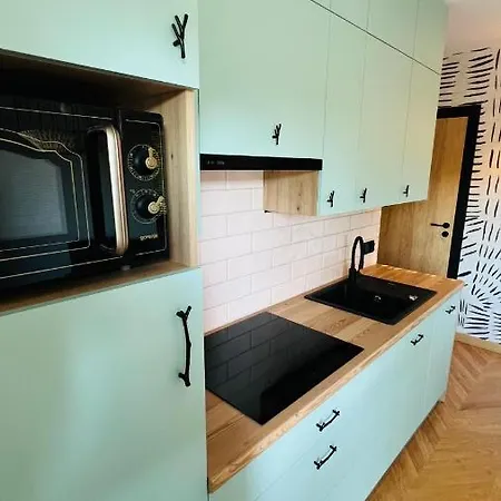 Partykularz Z Tarasem I Widokiem Na śnieżkę Apartament Karpacz